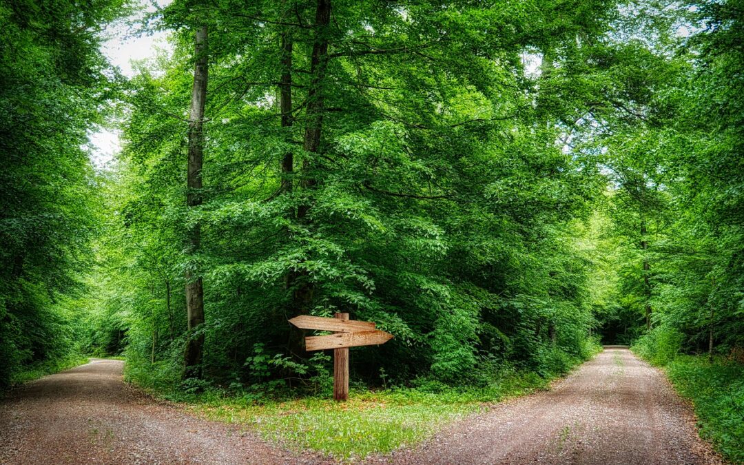 Mehr als nur einen Weg.